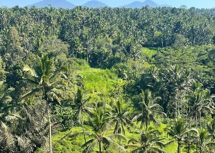 River Song Ubud, Bali