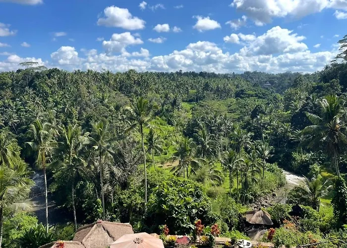 River Song Ubud, Bali ホテル ウブド